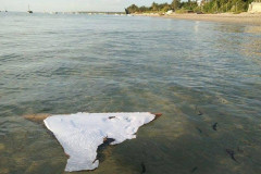 160302161324-01-mh370-mozambique-super-169